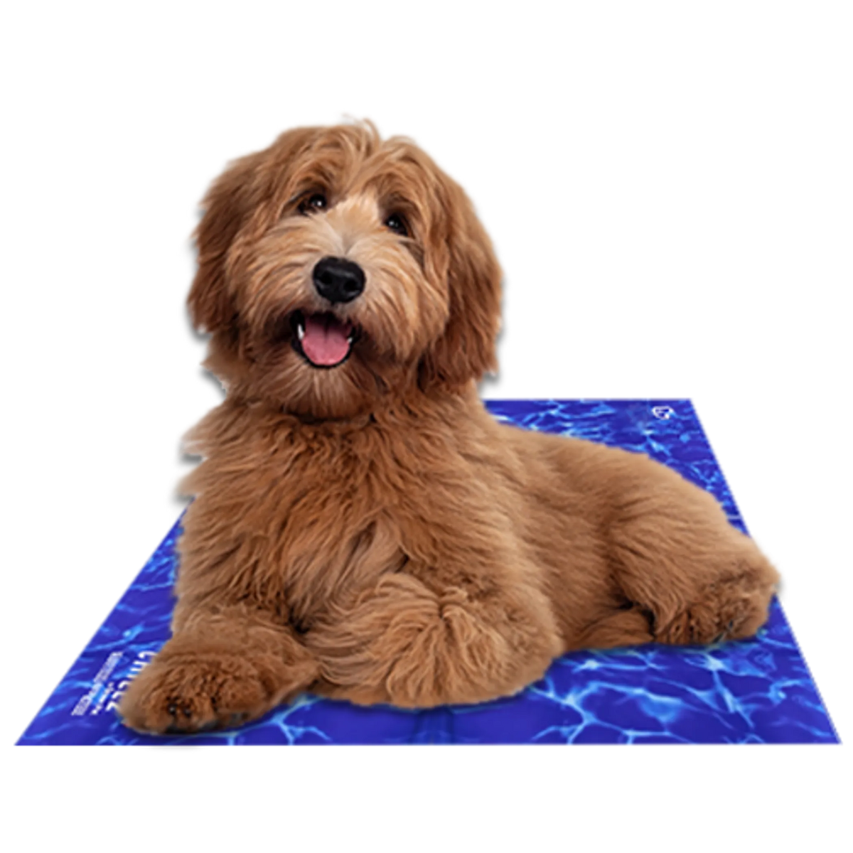 Chillz self-cooling gel mat for dogs and cats