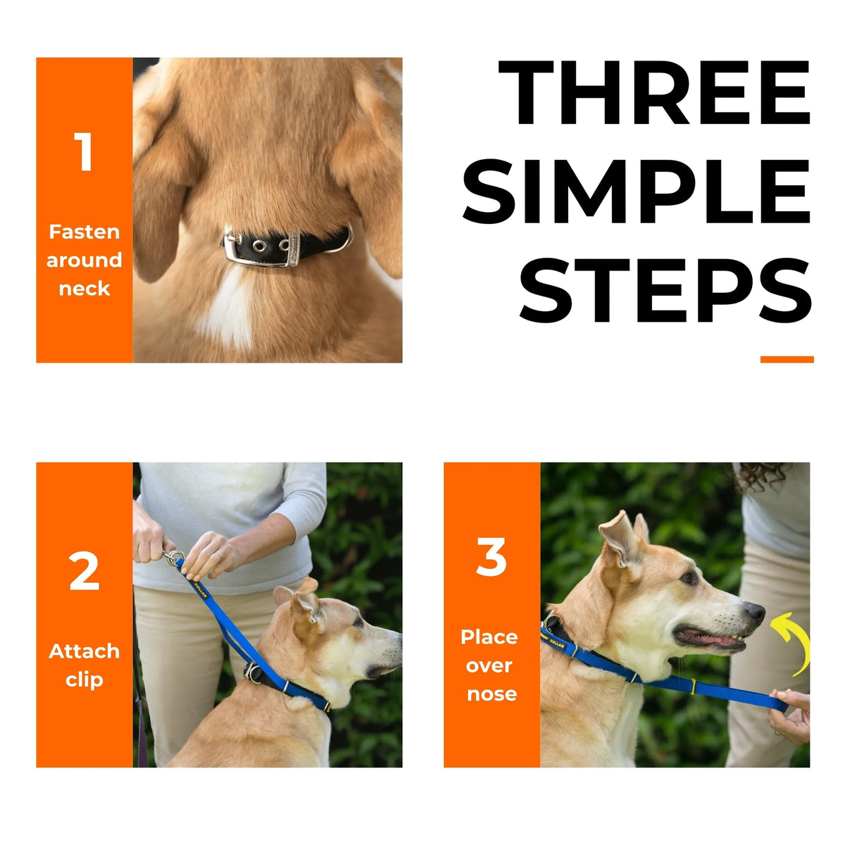 Canny Collar No-Pull Dog Head Collar for Leash Training - view 3