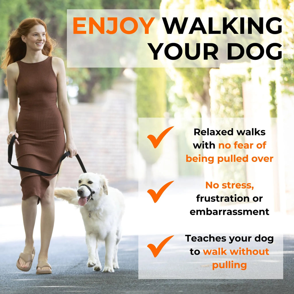 Canny Collar No-Pull Dog Head Collar for Leash Training - view 5