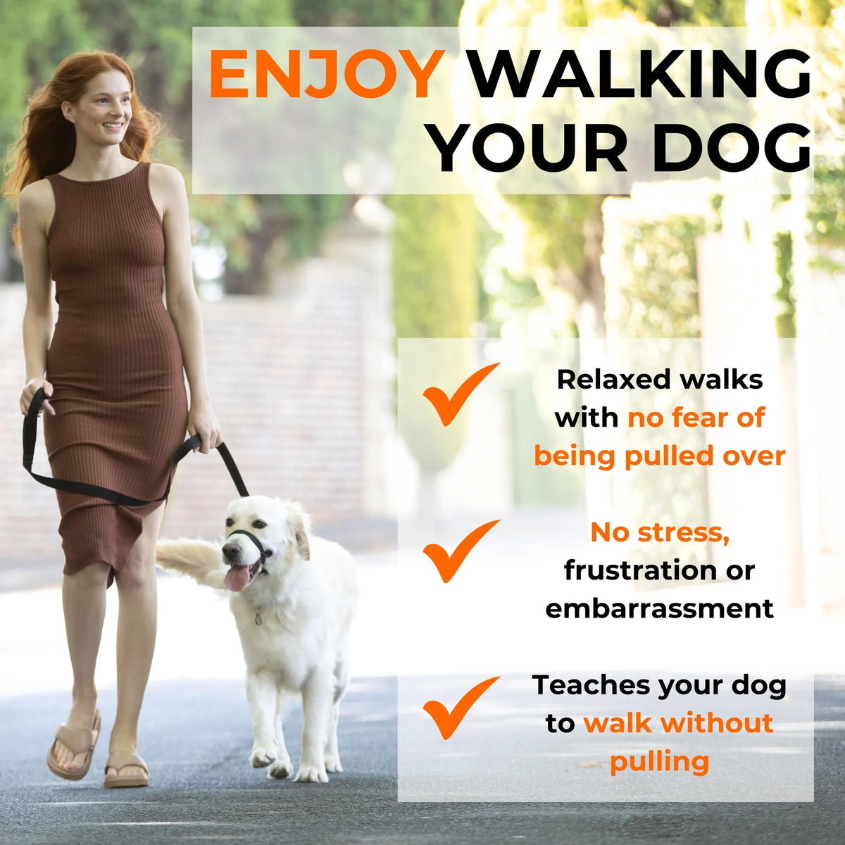 Canny Collar No-Pull Dog Head Collar for Leash Training - view 5