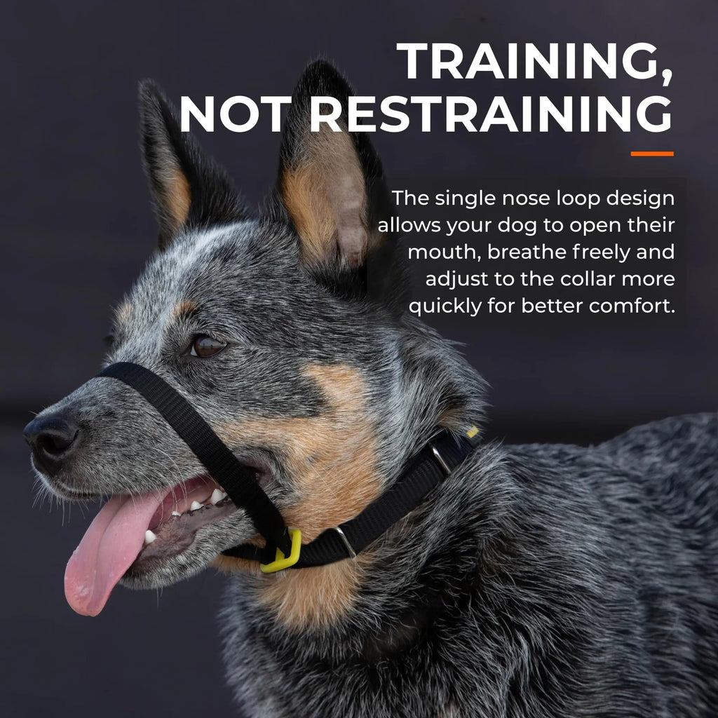 Canny Collar No-Pull Dog Head Collar for Leash Training - view 6