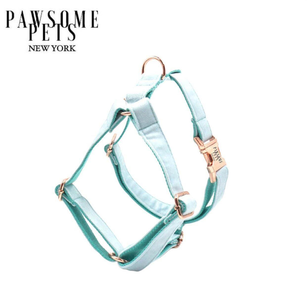 STEP IN HARNESS - ICE BLUE