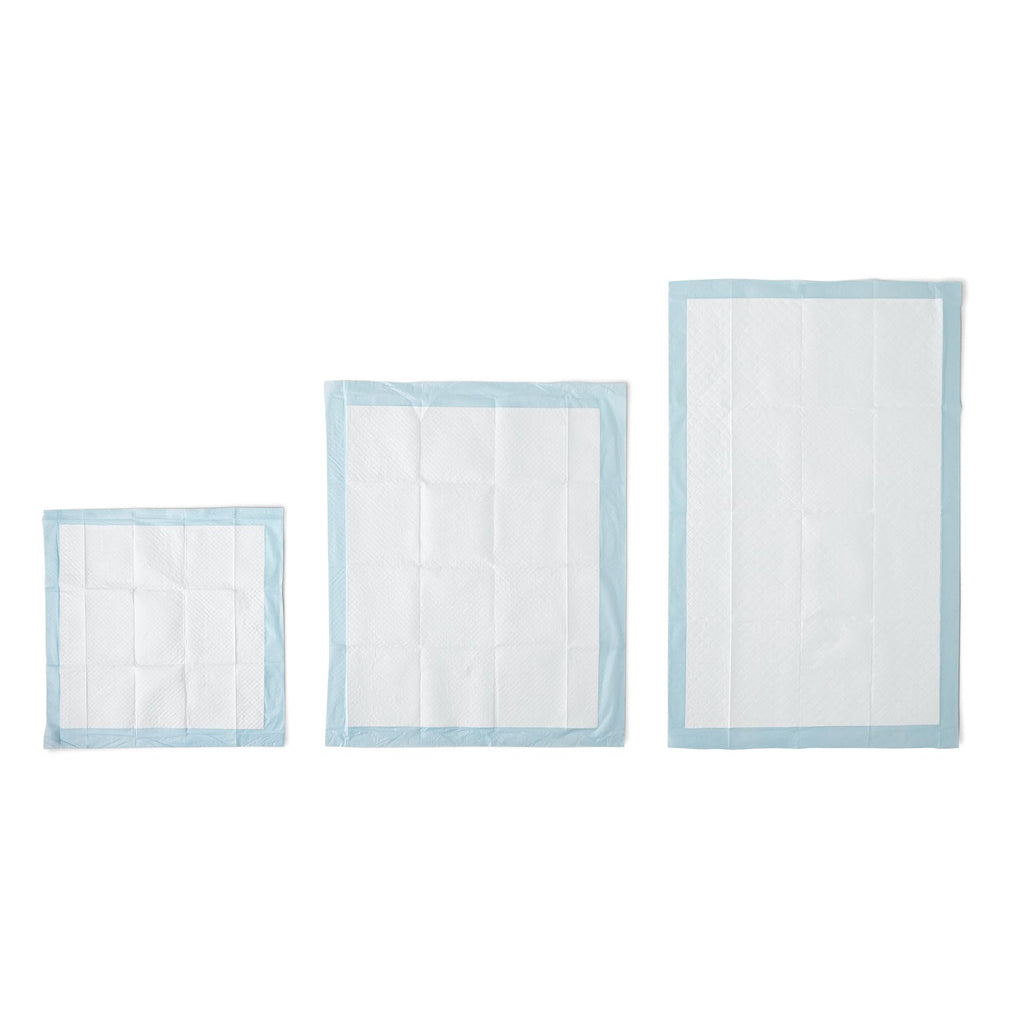 Amazon Basics Leak-Proof Puppy Training Pee Pads, 5-Layer Quick-Dry