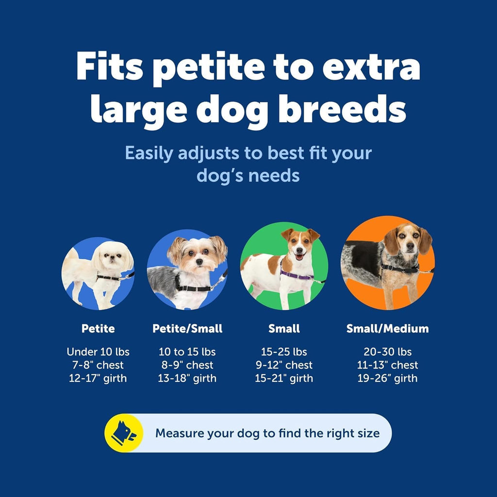 PetSafe Easy Walk No-Pull Dog Harness