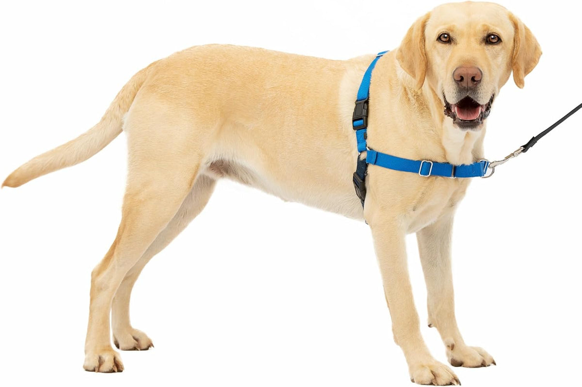 PetSafe Easy Walk No-Pull Dog Harness