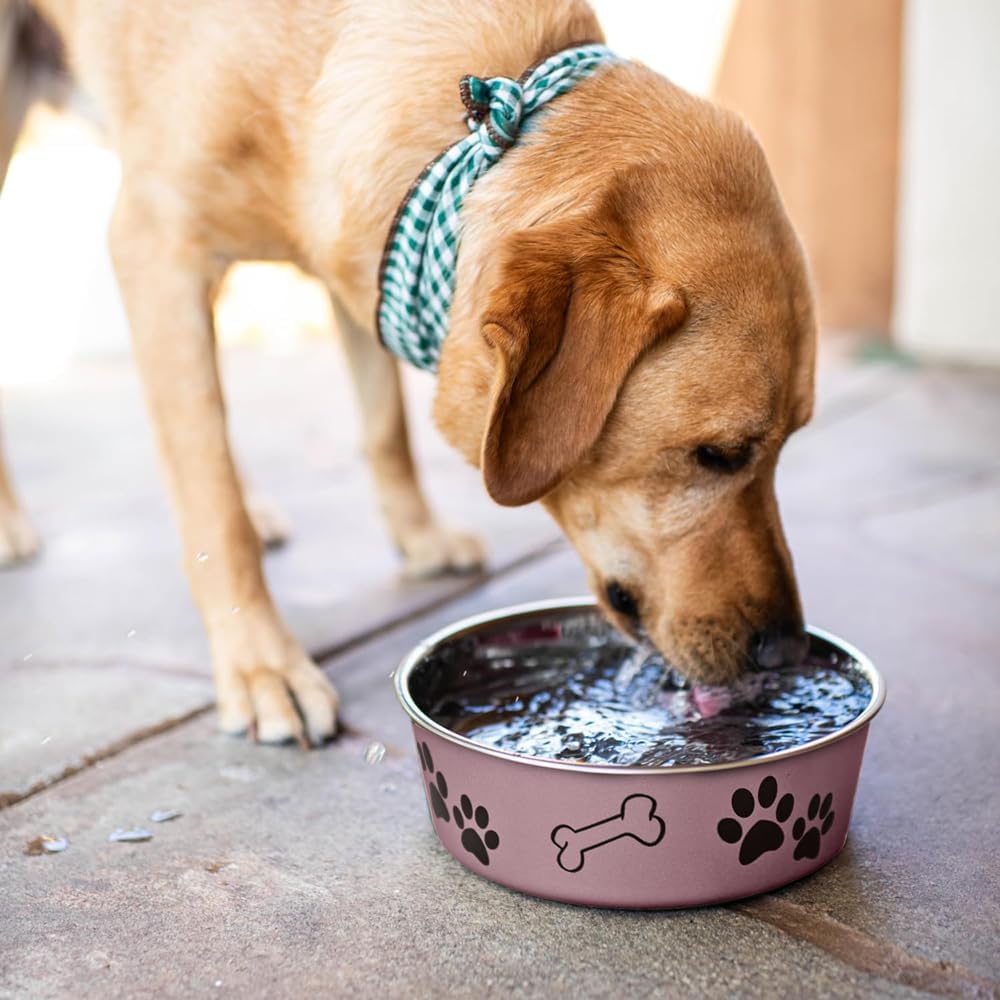Loving Pets Bella Bowl, Stainless Steel Dog & Cat Bowl