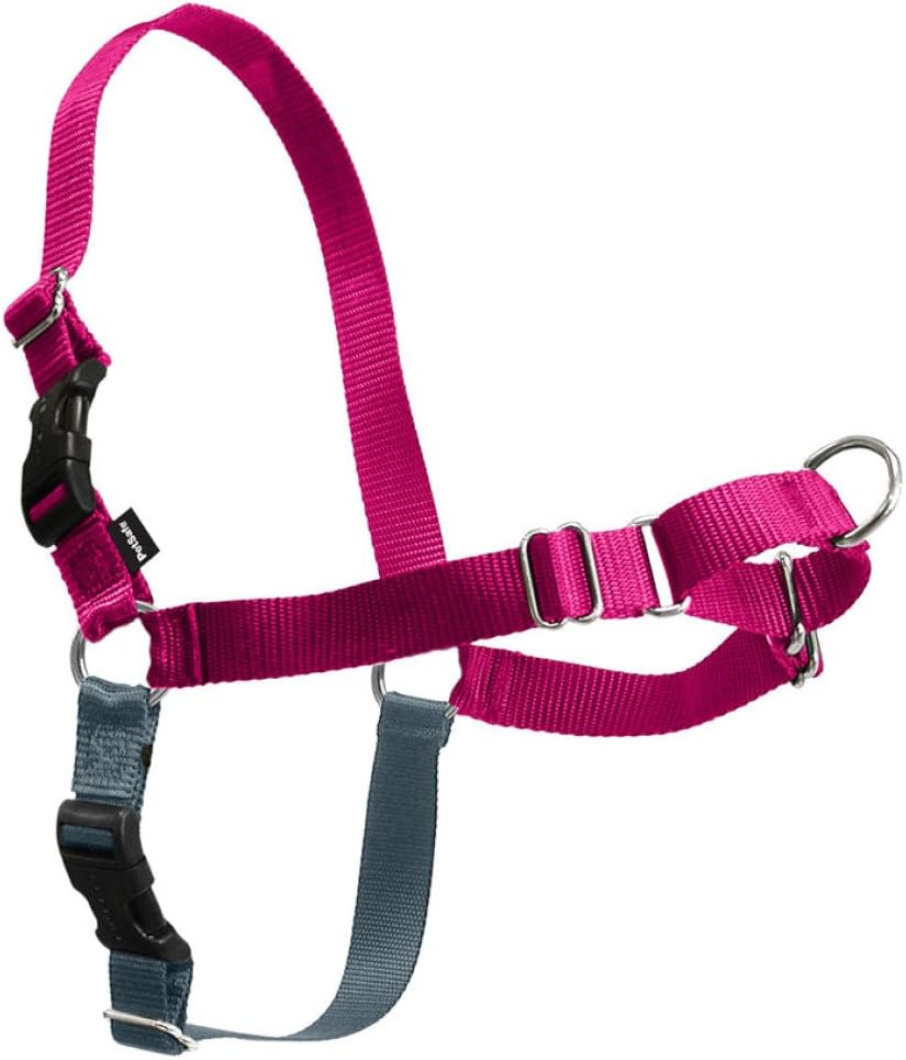PetSafe Easy Walk No-Pull Dog Harness