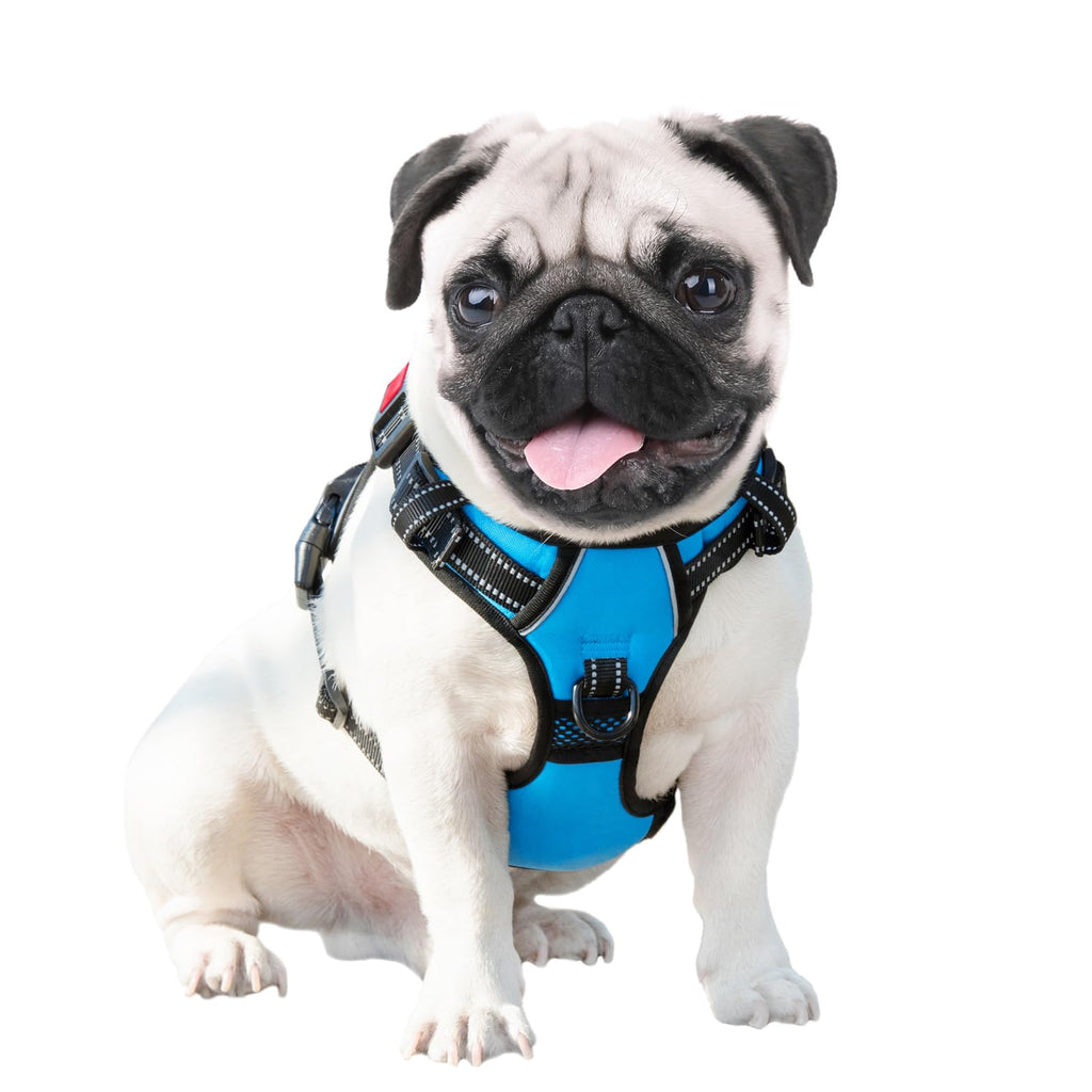 PHOEPET No-Pull Dog Harness – Reflective Front-Clip Vest with Handle