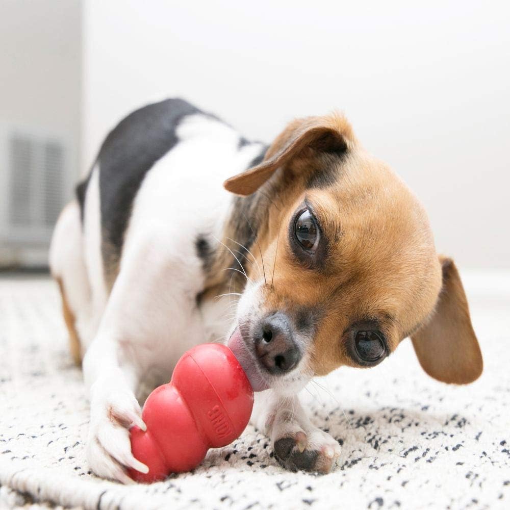 KONG Classic Stuffable Dog Toy, Natural Rubber
