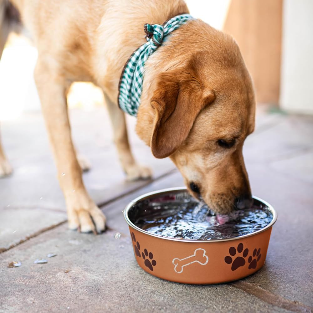 Loving Pets Bella Bowl, Stainless Steel Dog & Cat Bowl