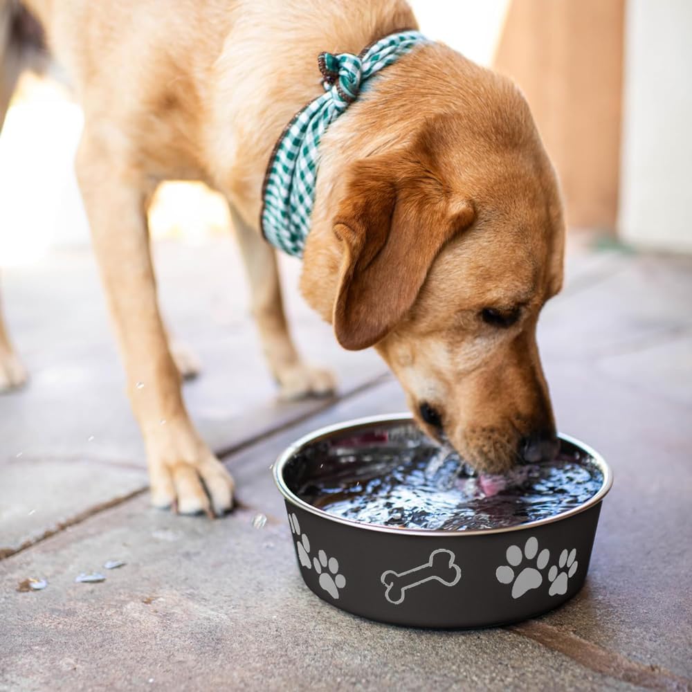 Loving Pets Bella Bowl, Stainless Steel Dog & Cat Bowl
