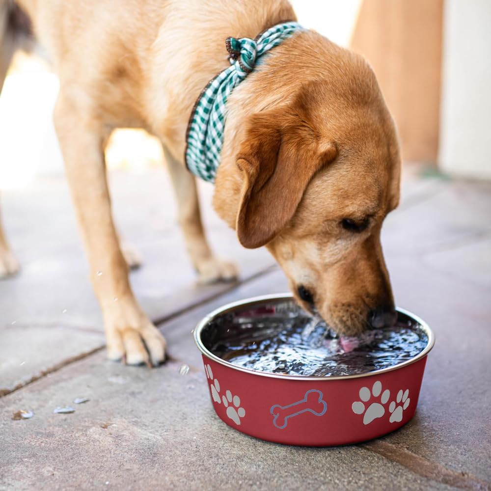 Loving Pets Bella Bowl, Stainless Steel Dog & Cat Bowl