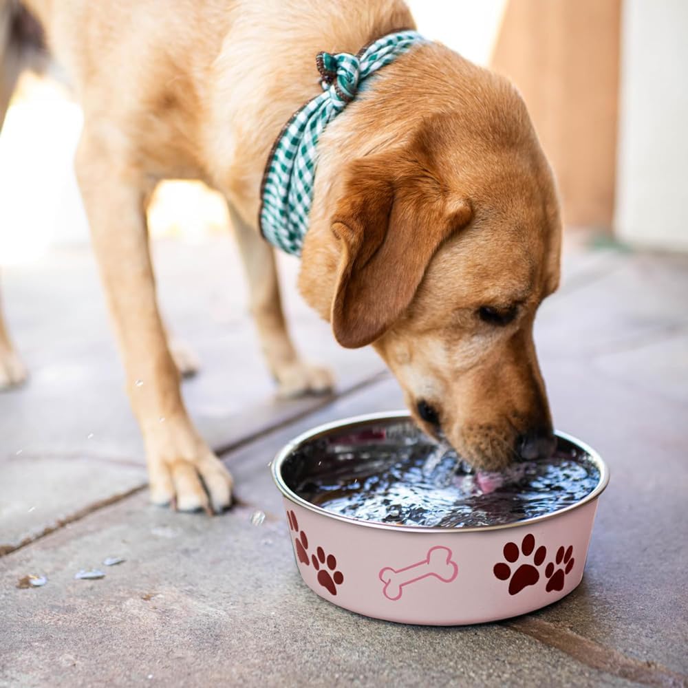 Loving Pets Bella Bowl, Stainless Steel Dog & Cat Bowl