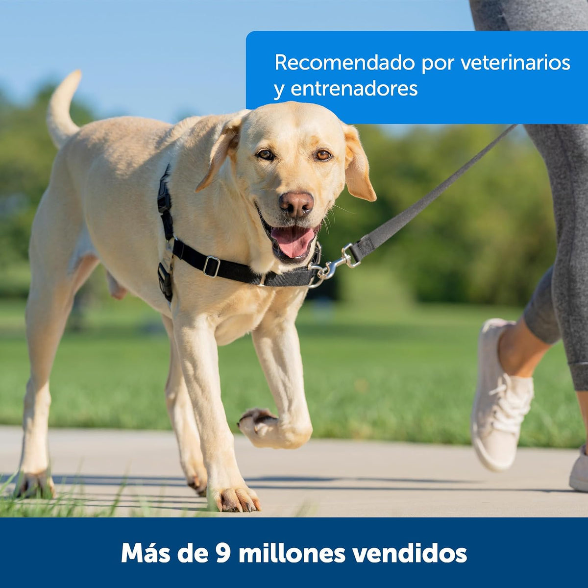 PetSafe Easy Walk No-Pull Dog Harness