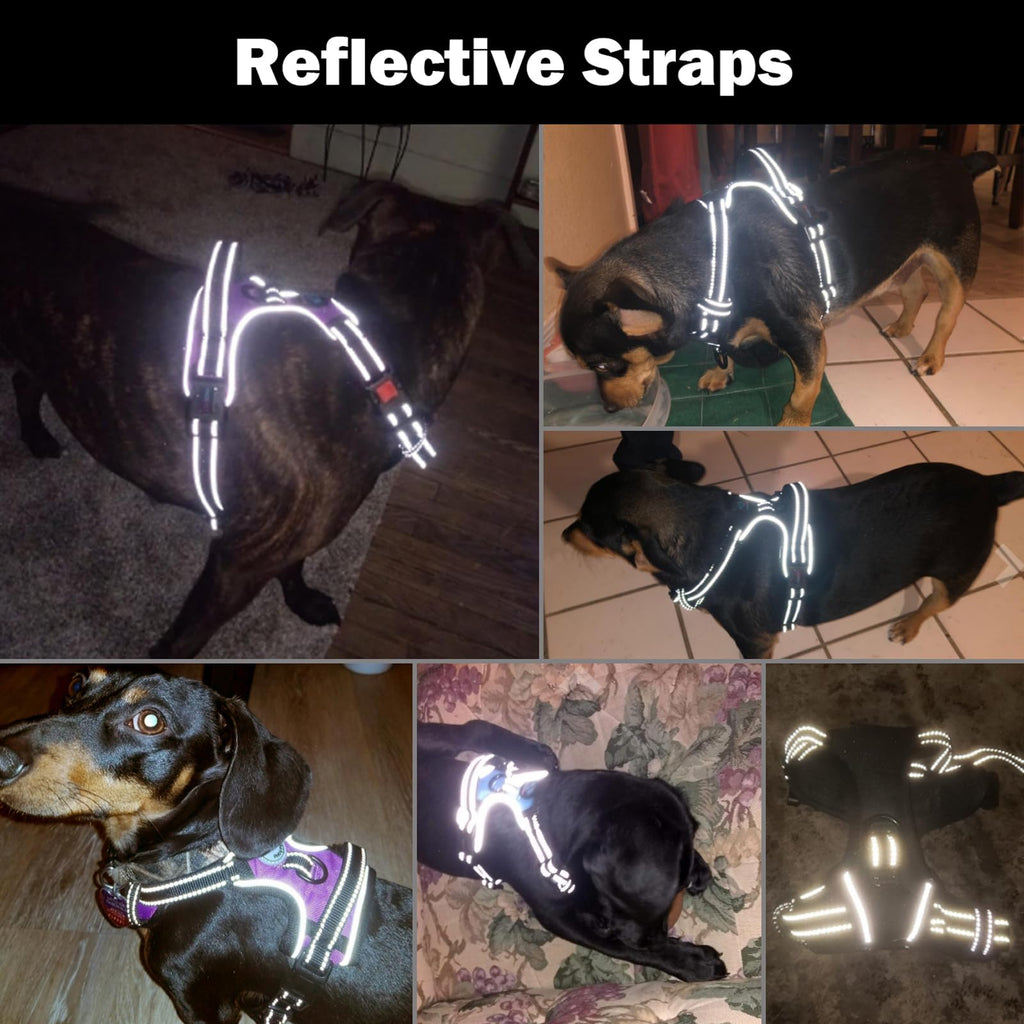 PHOEPET No-Pull Dog Harness – Reflective Front-Clip Vest with Handle