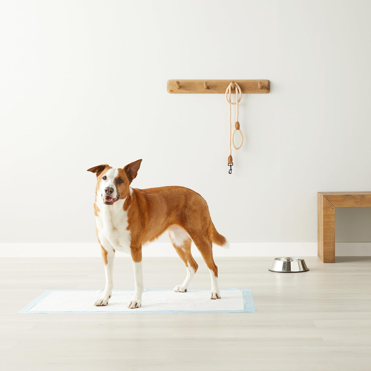 Amazon Basics Leak-Proof Puppy Training Pee Pads, 5-Layer Quick-Dry