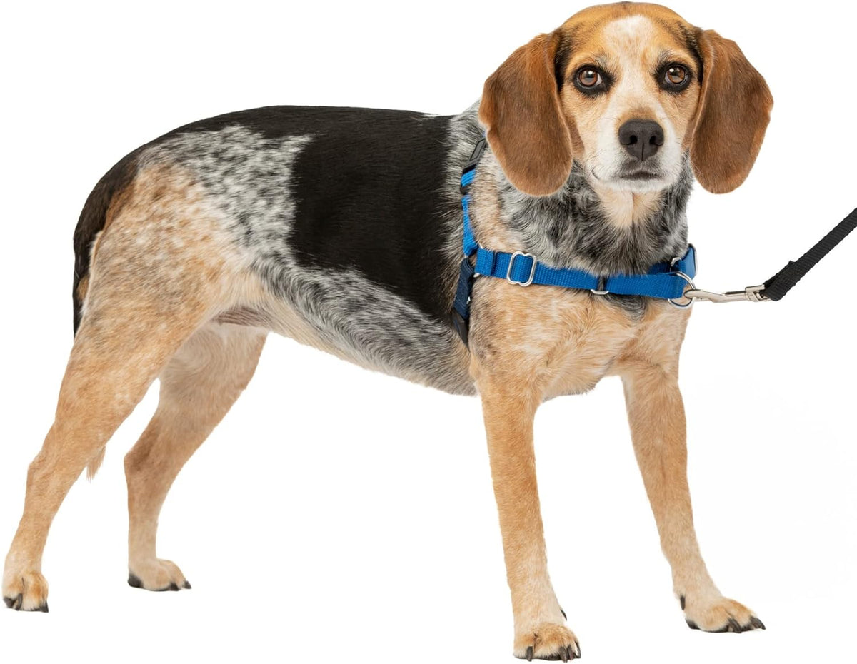 PetSafe Easy Walk No-Pull Dog Harness