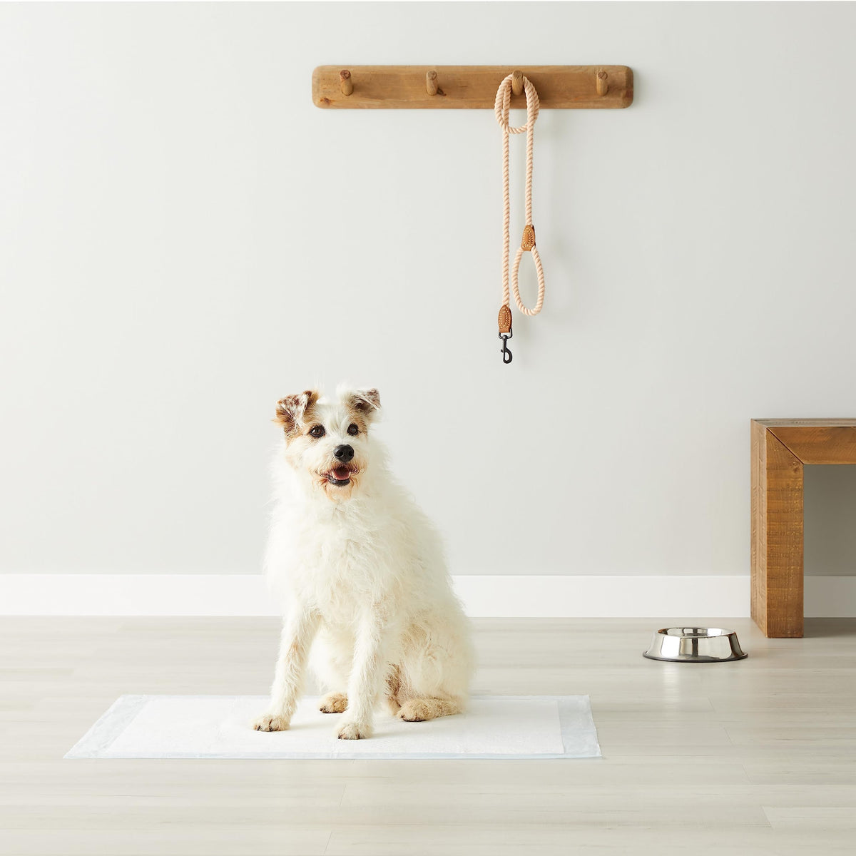 Amazon Basics Leak-Proof Puppy Training Pee Pads, 5-Layer Quick-Dry