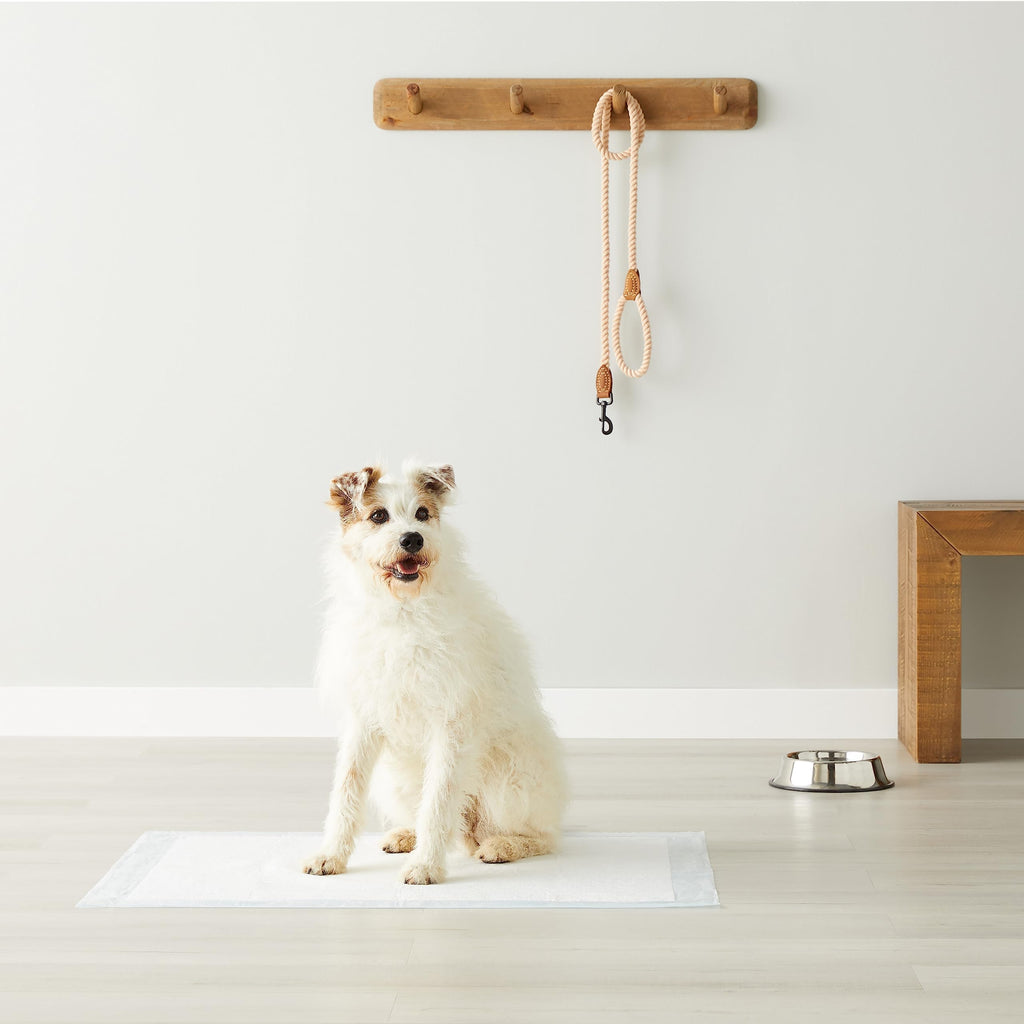 Amazon Basics Leak-Proof Puppy Training Pee Pads, 5-Layer Quick-Dry