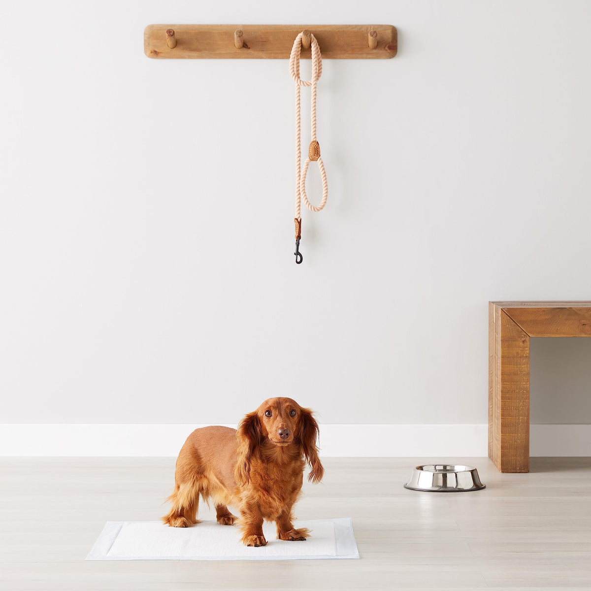 Amazon Basics Leak-Proof Puppy Training Pee Pads, 5-Layer Quick-Dry