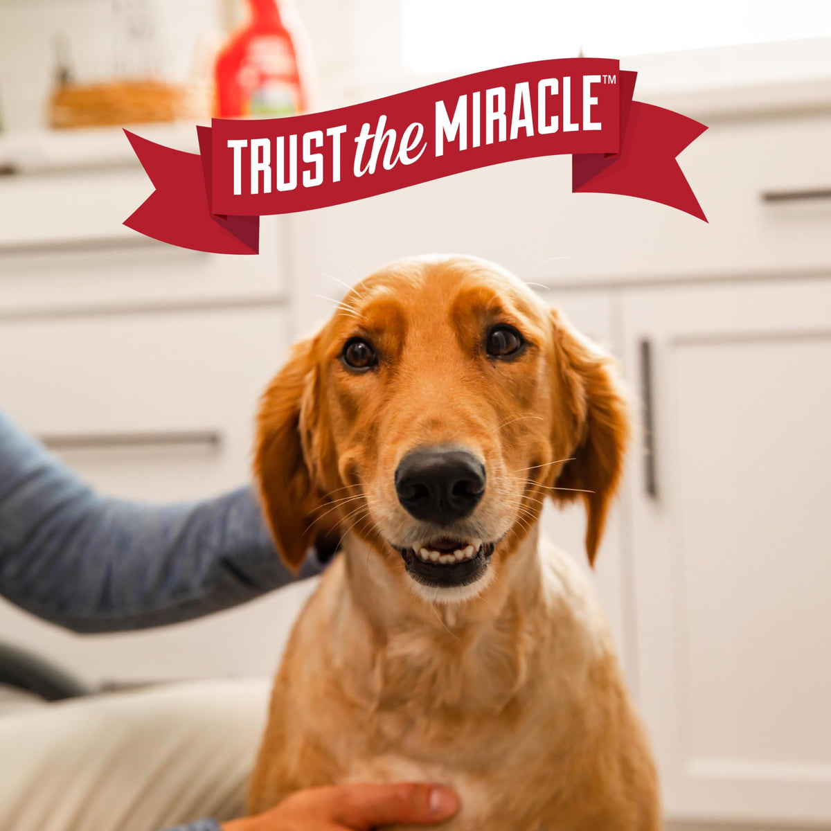 Nature's Miracle Advanced Dog Stain & Odor Eliminator