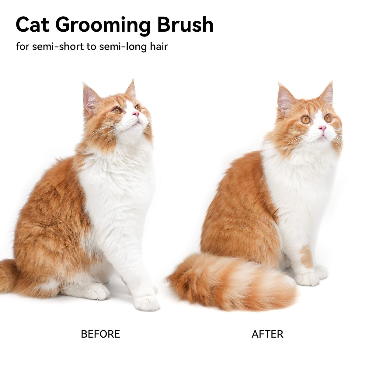 aumuca Cat and Dog Grooming Brush for Shedding, Removes Loose Fur from Long or Short Haired Pets - Ideal for Cats, Kittens, Rabbits, and More - Purple