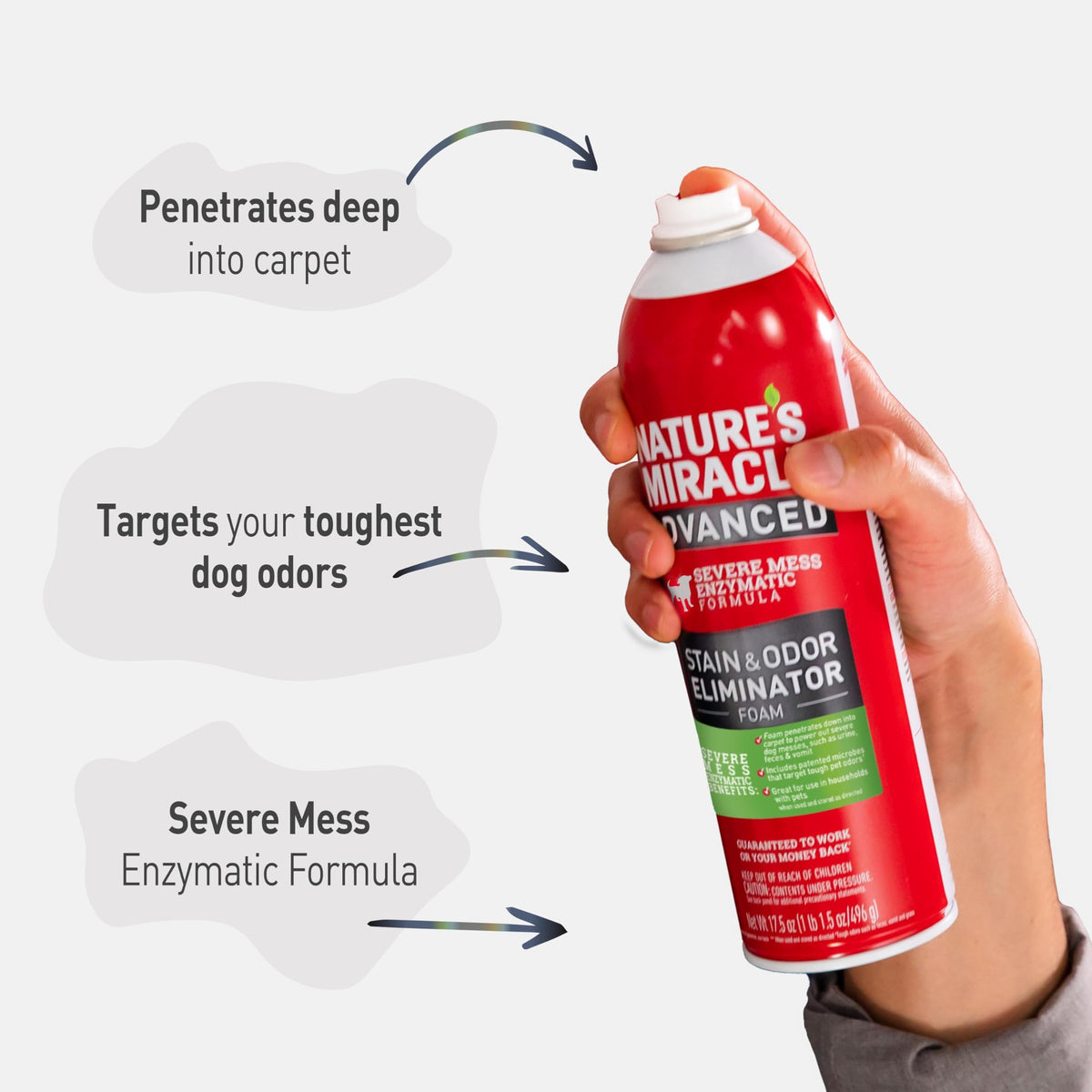 Nature's Miracle Advanced Dog Stain & Odor Eliminator