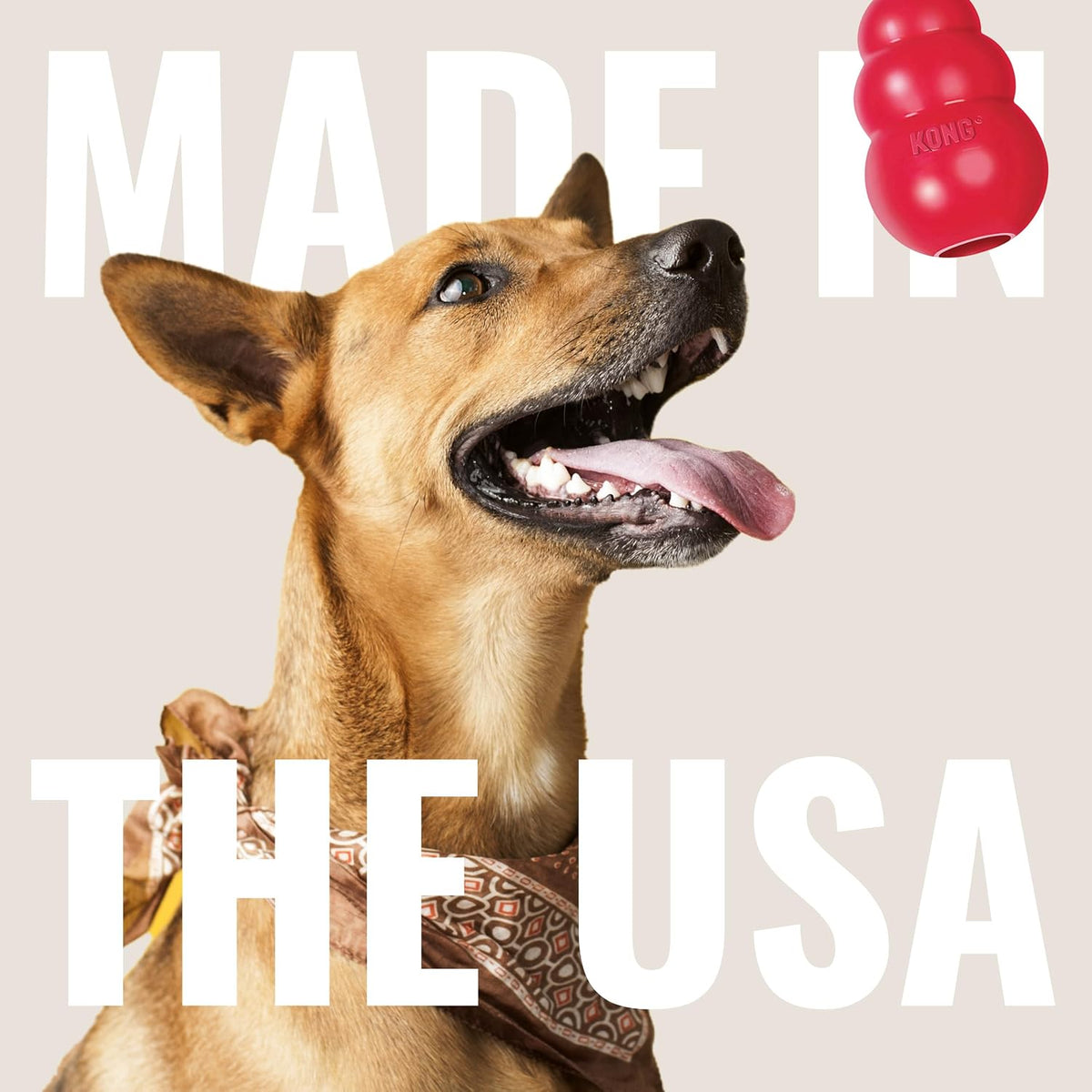 KONG Classic Stuffable Dog Toy, Natural Rubber
