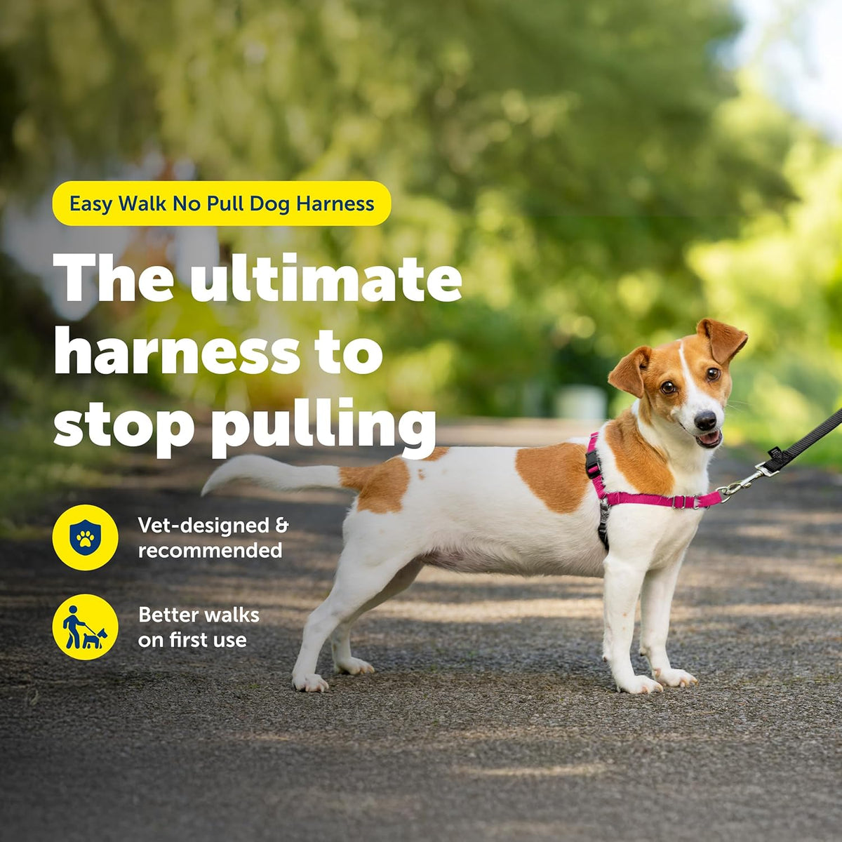 PetSafe Easy Walk No-Pull Dog Harness