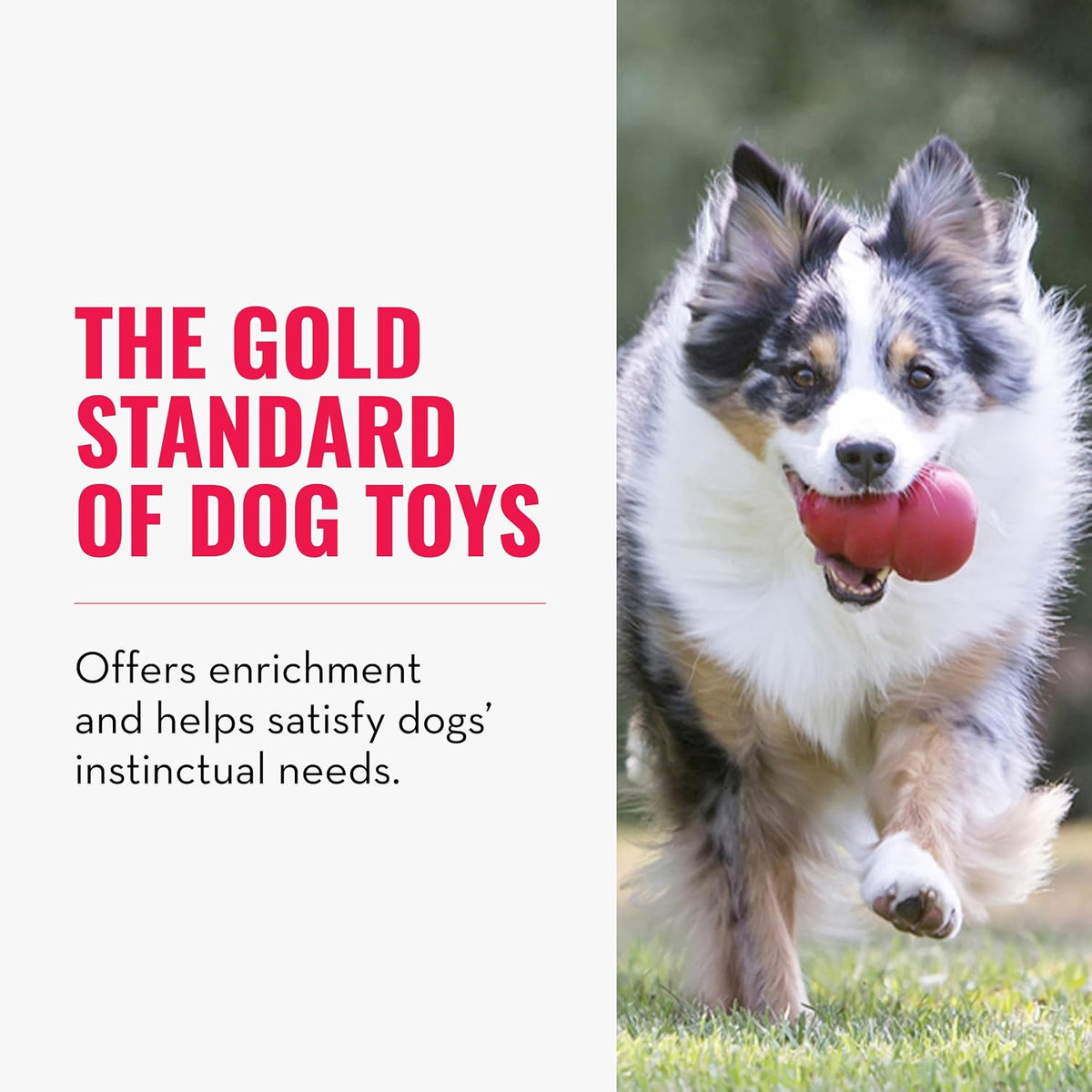 KONG Classic Stuffable Dog Toy, Natural Rubber