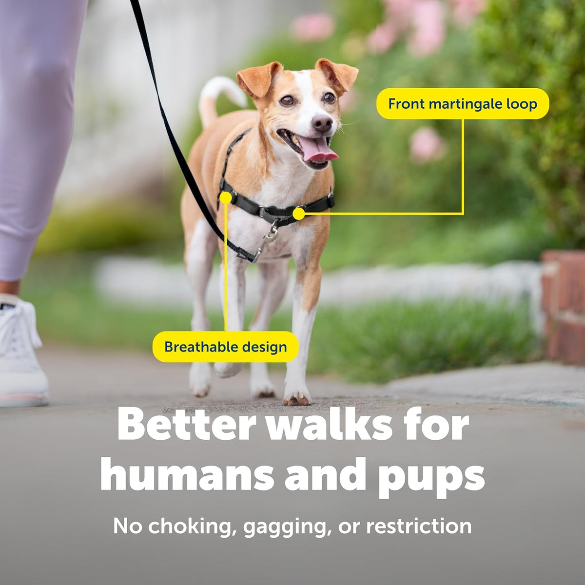 PetSafe Easy Walk No-Pull Dog Harness