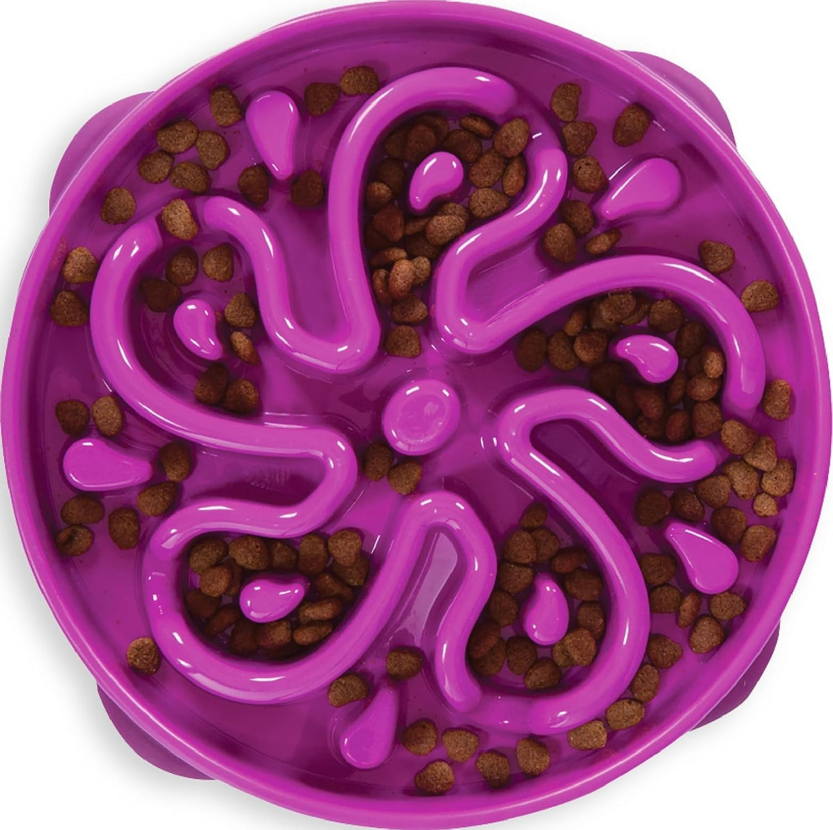 Outward Hound Fun Feeder Slow Feed Dog Bowl