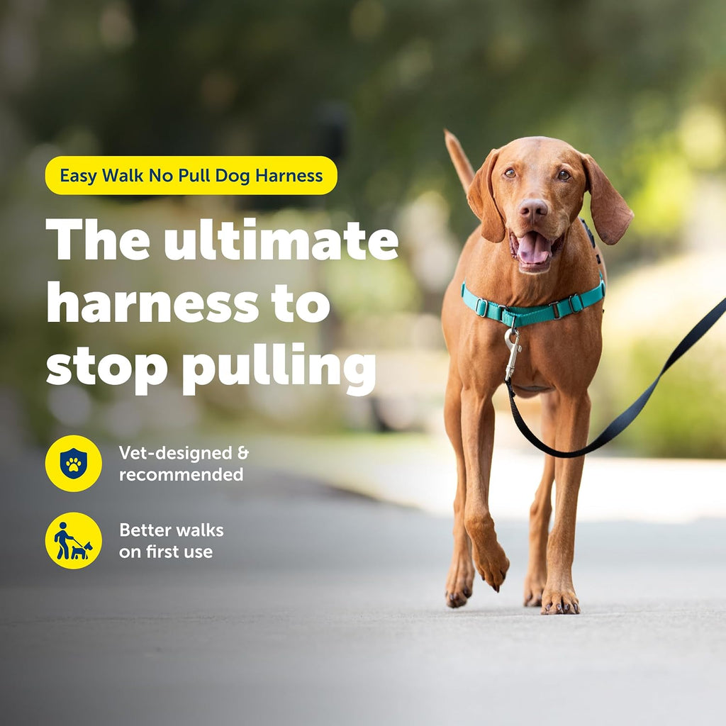 PetSafe Easy Walk No-Pull Dog Harness