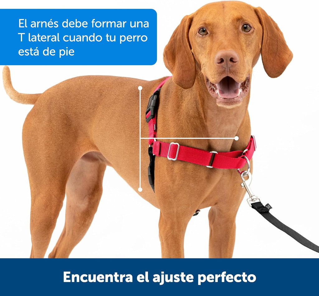PetSafe Easy Walk No-Pull Dog Harness