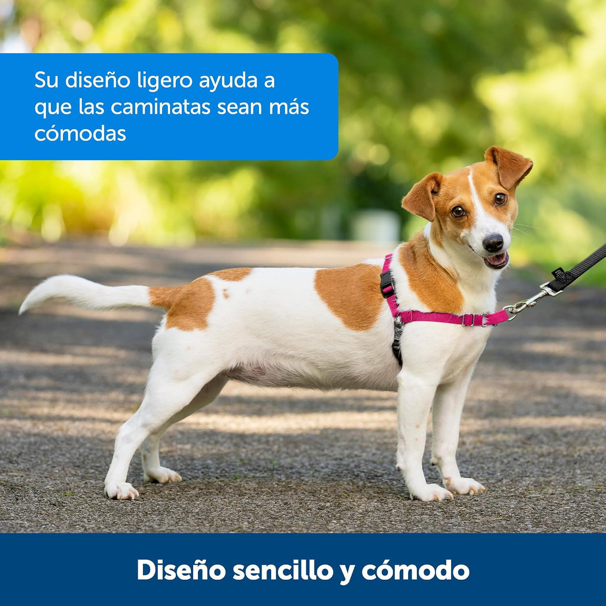 PetSafe Easy Walk No-Pull Dog Harness
