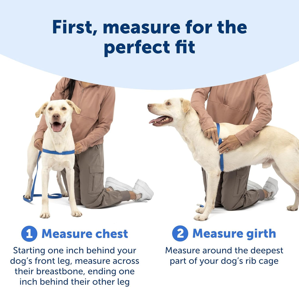PetSafe Easy Walk No-Pull Dog Harness