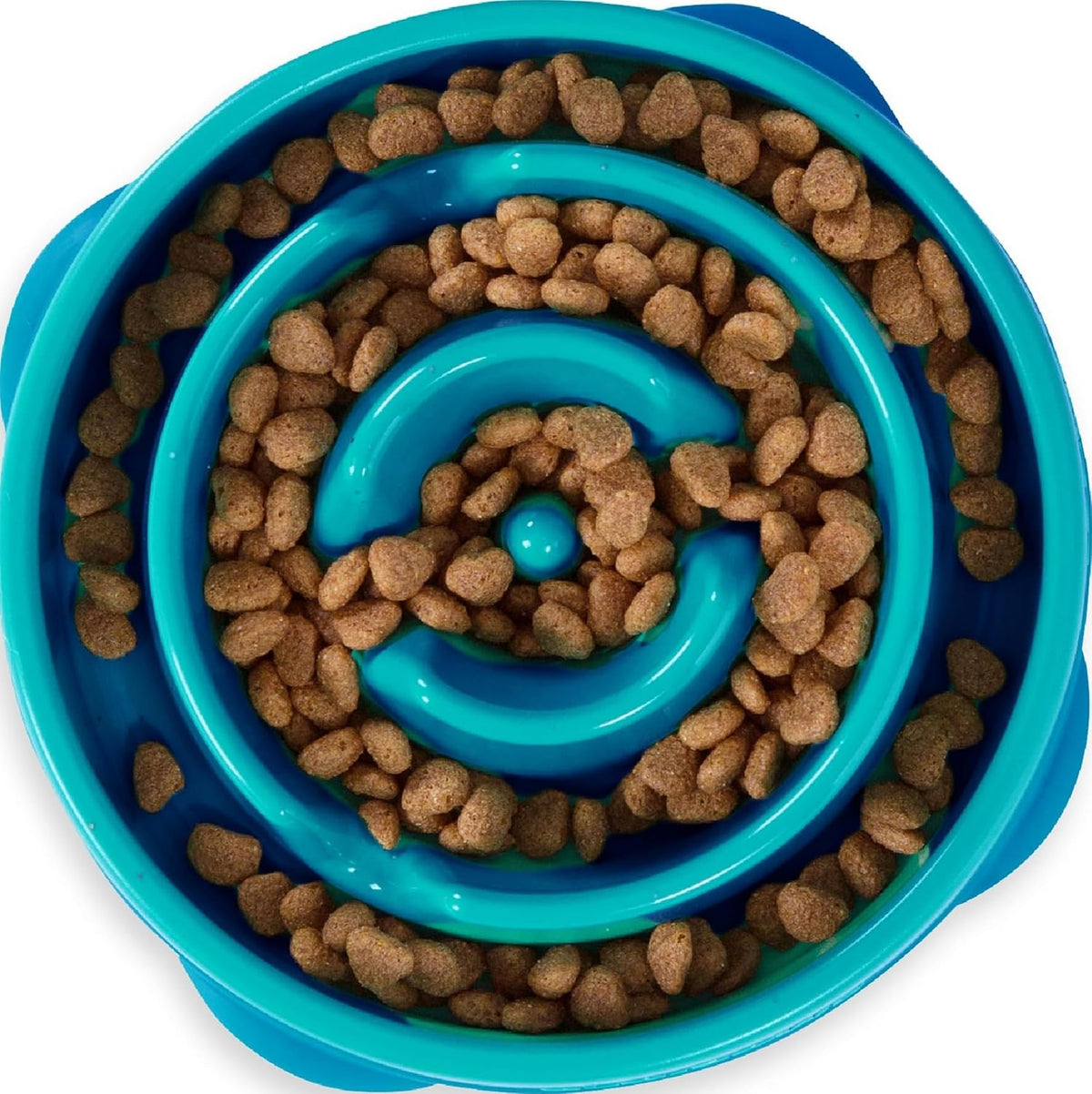 Outward Hound Fun Feeder Slow Feed Dog Bowl