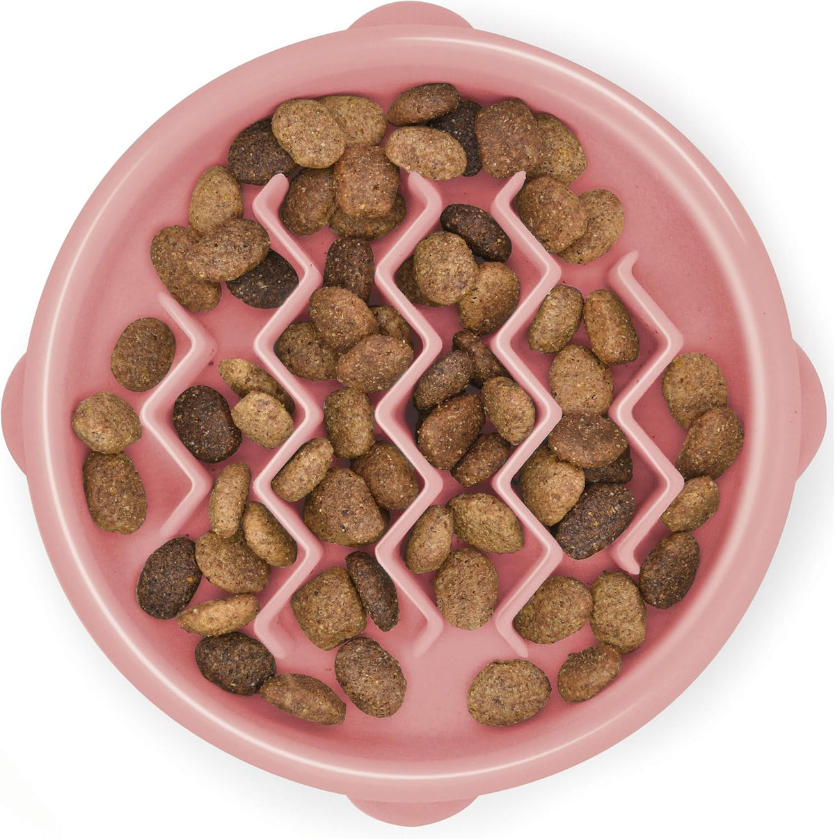 Outward Hound Fun Feeder Slow Feed Dog Bowl