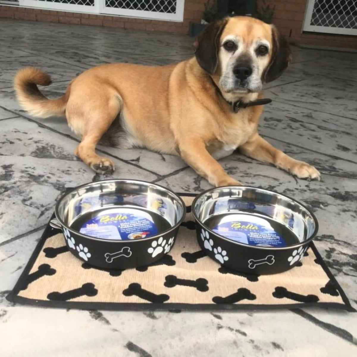 Loving Pets Bella Bowl, Stainless Steel Dog & Cat Bowl