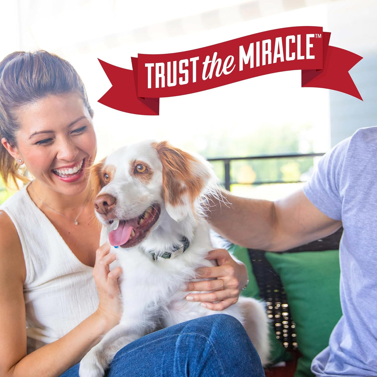 Nature's Miracle Advanced Dog Stain & Odor Eliminator