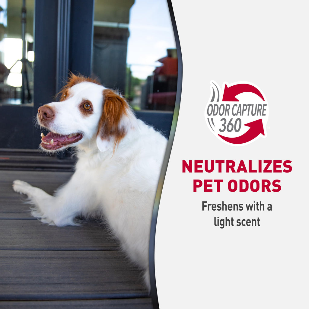 Nature's Miracle Advanced Dog Stain & Odor Eliminator