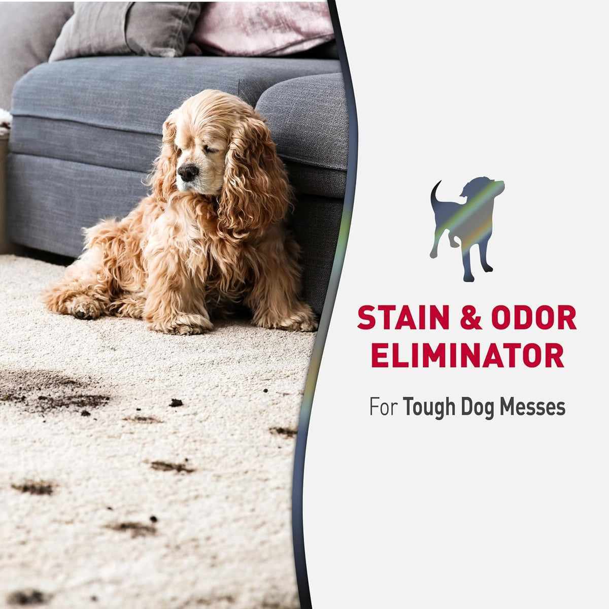 Nature's Miracle Advanced Dog Stain & Odor Eliminator