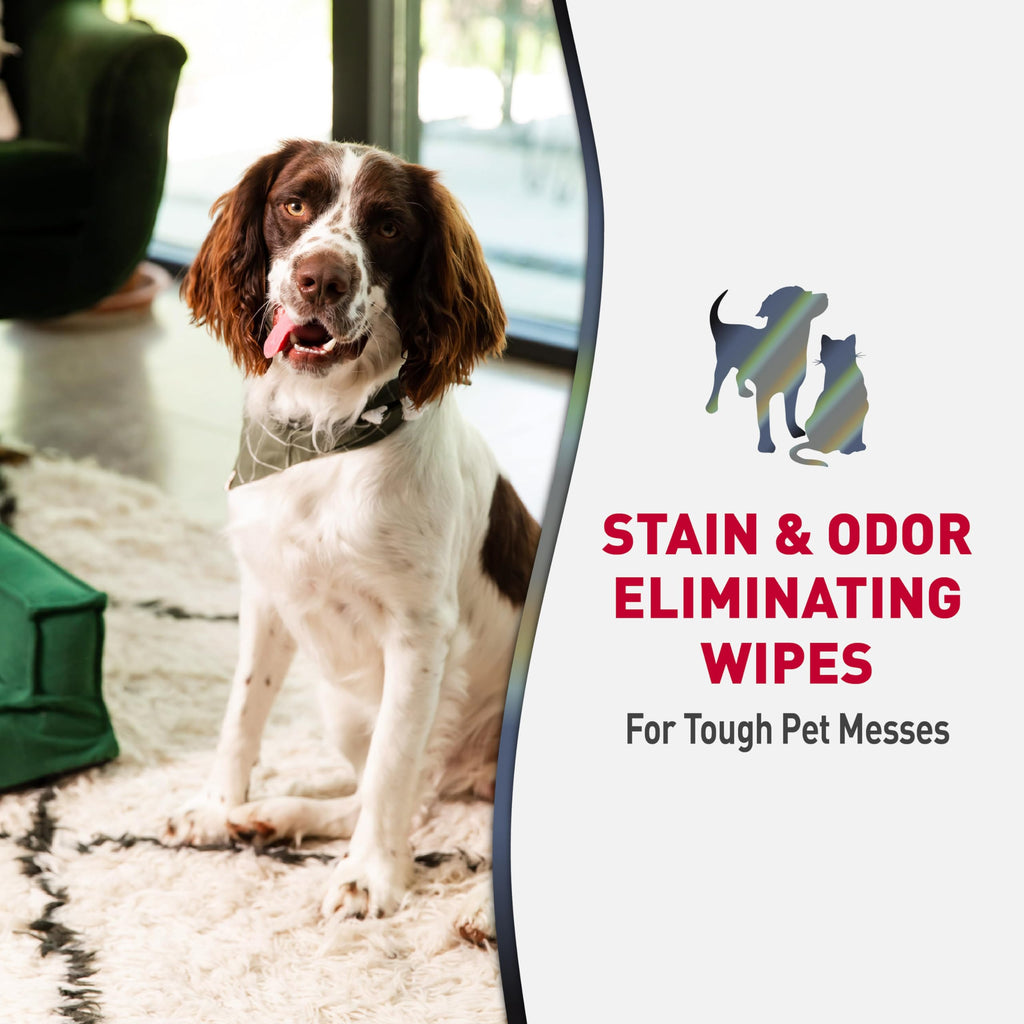 Nature's Miracle Advanced Dog Stain & Odor Eliminator