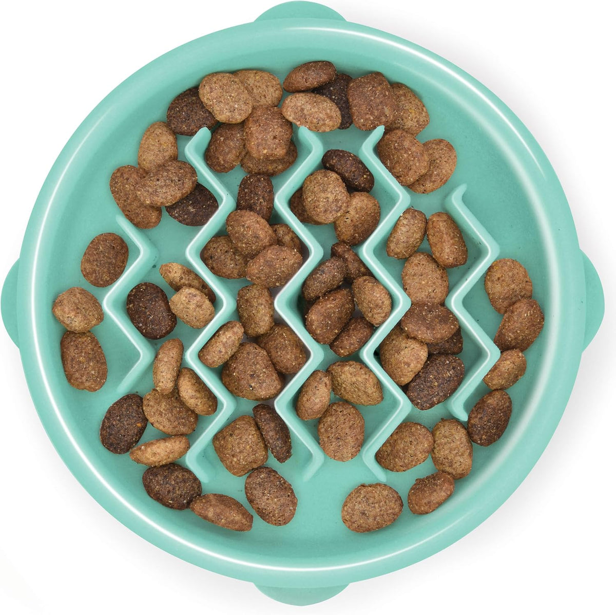 Outward Hound Fun Feeder Slow Feed Dog Bowl