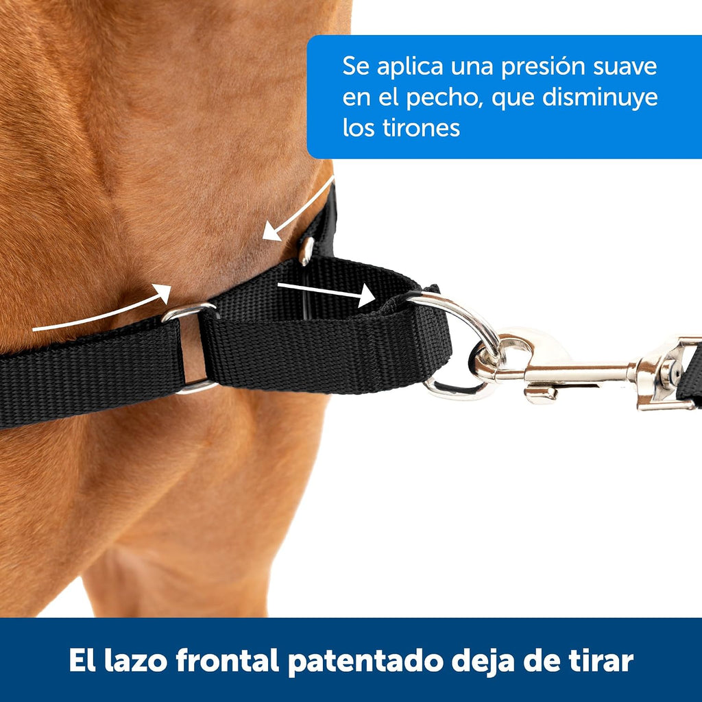 PetSafe Easy Walk No-Pull Dog Harness
