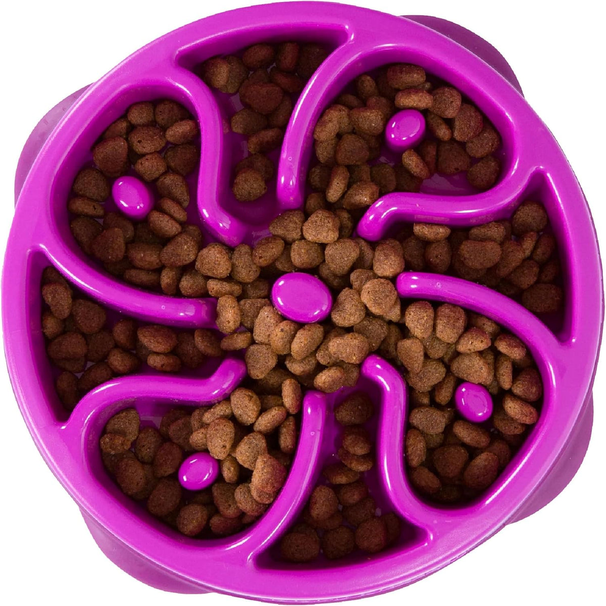 Outward Hound Fun Feeder Slow Feed Dog Bowl