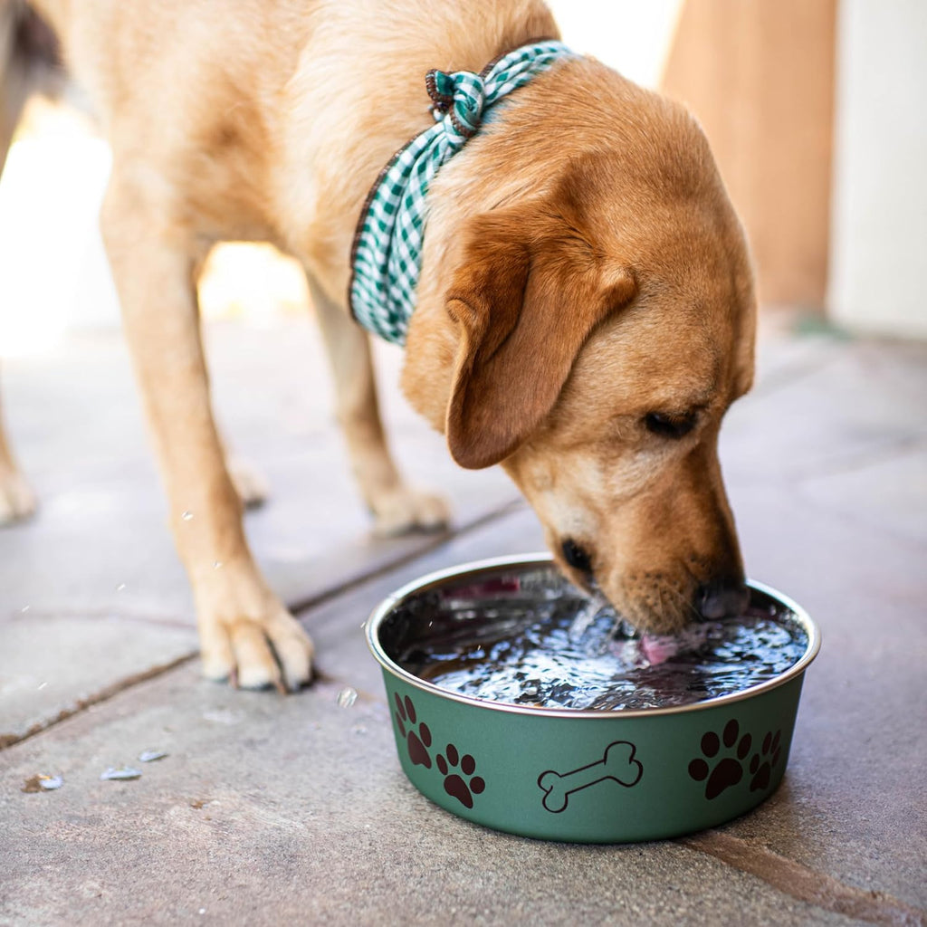 Loving Pets Bella Bowl, Stainless Steel Dog & Cat Bowl