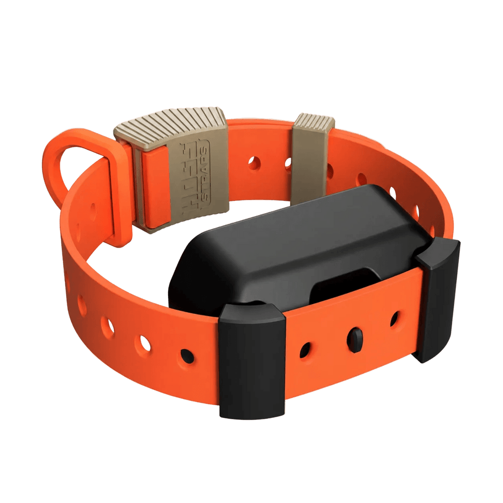 Training Collar Setup — dog training collar strap, product photo 12 of 24