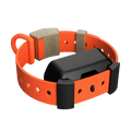 Training Collar Setup — dog training collar strap, product photo 12 of 24