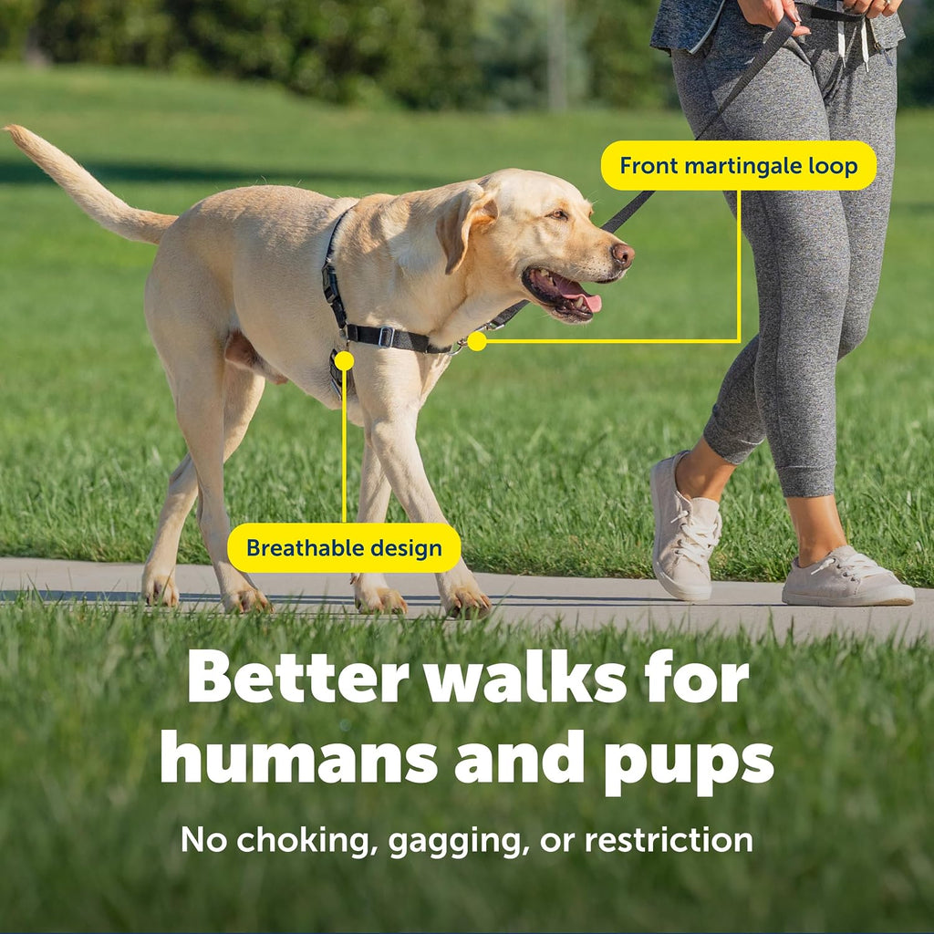 PetSafe Easy Walk No-Pull Dog Harness